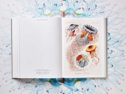 The Art and Science of Ernst Haeckel