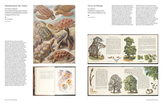 The Art of the Illustrated Book