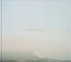 Karin Apollonia Mueller – Angels in Fall