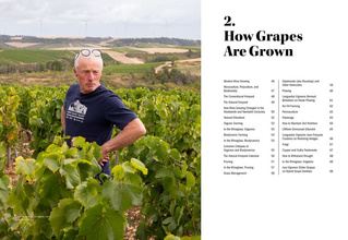 The World of Natural Wine