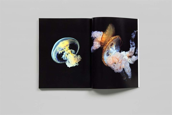 Guido Mocafico – Numéro