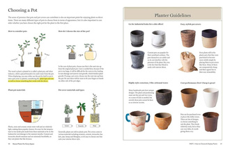 House Plants for Every Space