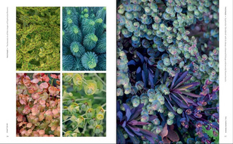 The Super Bloom Handbook