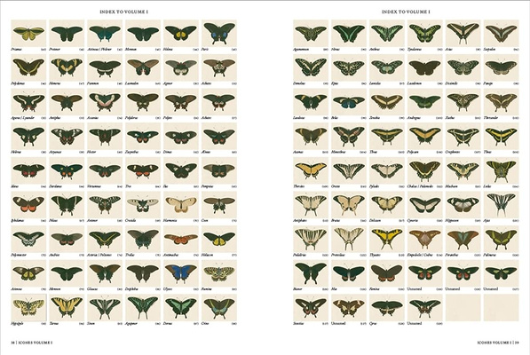 Iconotypes: A Compendium of Butterflies and Moths. Jones’s Icones Complete (Book of the day 15th January 2026)
