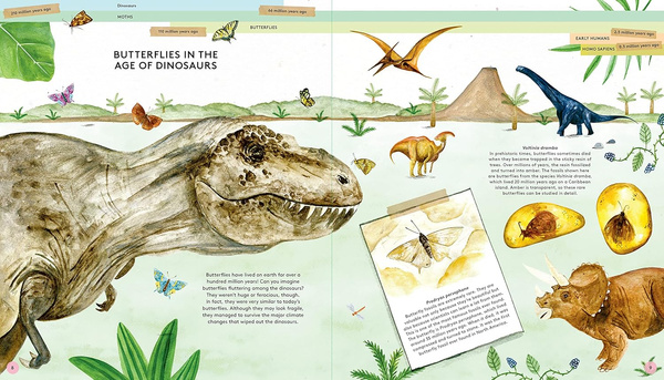 The Secret Life of Butterflies