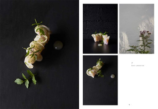 Chef, La Grenouillere