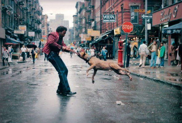 New York, Portrait of a City