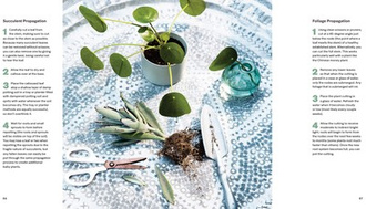 House Planted : Choosing, Growing, and Styling the Perfect Plants for Your Space