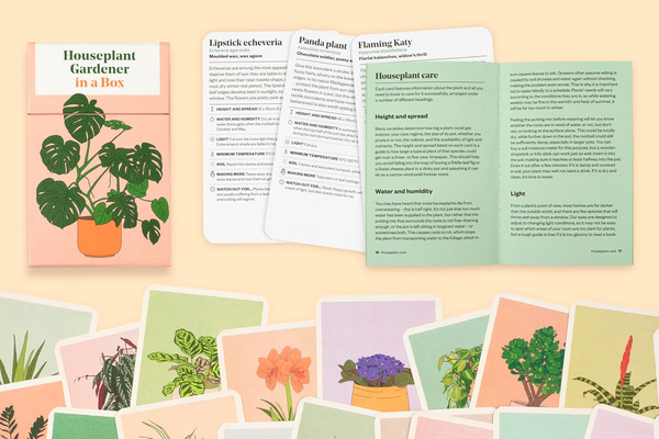 Houseplant Gardener in a Box