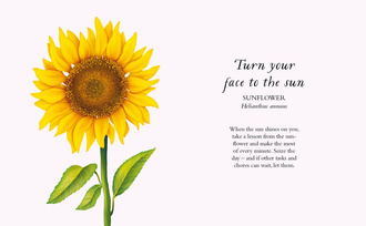 The Wisdom of Flowers