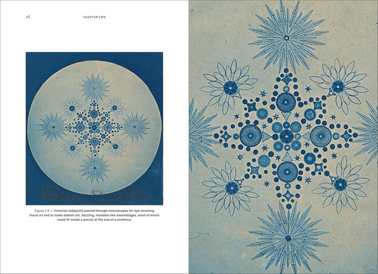 Wild Design : The Architecture of Nature