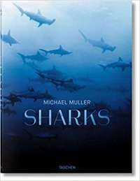 Sharks (egzemplarz z lekko przetartą okładką)