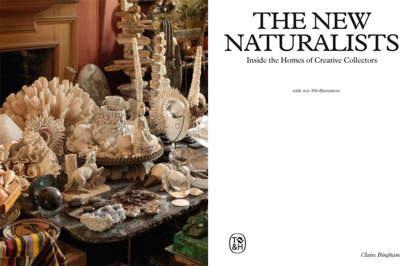 The New Naturalists : Inside the Homes of Creative Collectors