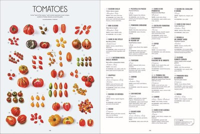 Let's Eat Italy! : Everything You Want to Know About Your Favorite Cuisine