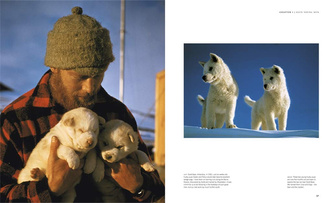 Smaug : Unleashing the Dragon