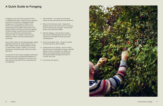 Orchard : Sweet and Savoury Recipes from the Countryside