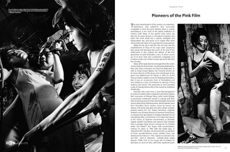 Behind The Pink Curtain