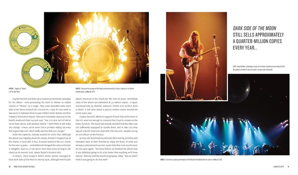 Pink Floyd : Behind the Wall