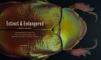 Extinct & Endangered : Insects in Peril