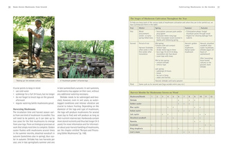 Home-Grown Mushrooms from Scratch