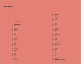 Symbols in Art (Art Essentials)