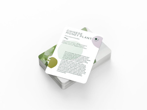 Leaf Supply Deck of Plants