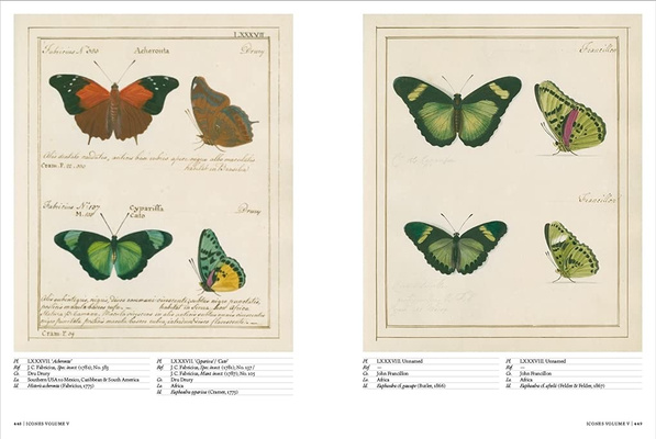 Iconotypes : A compendium of butterflies and moths