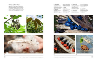 Trees : From Root to Leaf