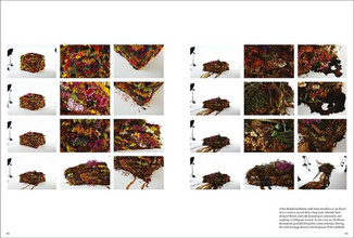 Flower Art: Makoto Azuma