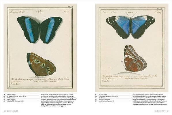 Iconotypes: A Compendium of Butterflies and Moths. Jones’s Icones Complete