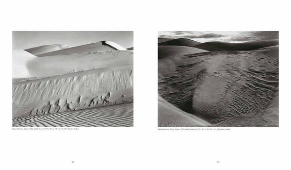 Weston : Edward, Brett, Cole, Cara. The Weston Photographers