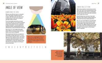 Why You Like This Photo :The science of perception