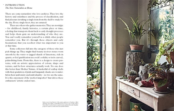 The New Naturalists : Inside the Homes of Creative Collectors