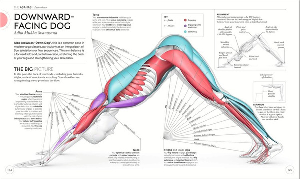 Science of Yoga: Understand the Anatomy and Physio