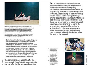 Should We All Be Vegan? : A primer for the 21st century