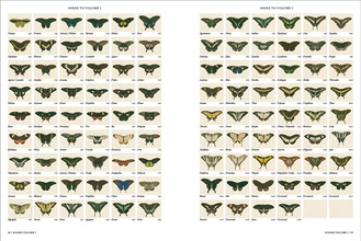 Iconotypes: A Compendium of Butterflies and Moths. Jones’s Icones Complete