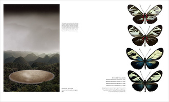 Civilization : The Way We Live Now