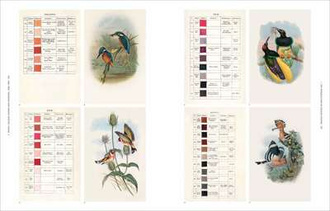 The Anatomy of Colour The Story of Heritage Paints and Pigments