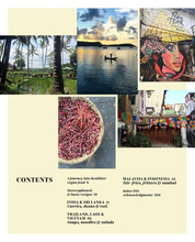 Healthy Vegan Street Food 