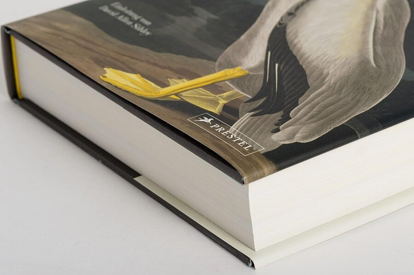 John James Audubon – Die Vögel Amerikas