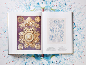 The Art and Science of Ernst Haeckel