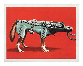 Soviet Space Dogs