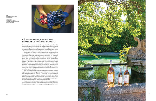 Adventures in Rose Wine in Provence