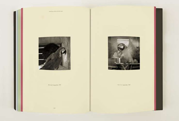 Taryn Simon – Field Guide to Birds of the West Indies