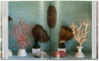 Massimo Listri. Cabinet of Curiosities. 40th Ed.