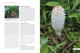 Home-Grown Mushrooms from Scratch