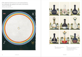 Elements : Chaos, order and the five elemental forces