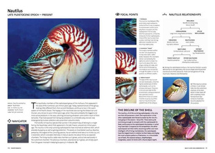 Evolution: the Whole Story