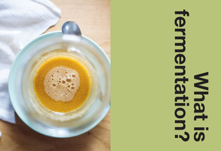 Ferment : Slow Down, Make Food to Last