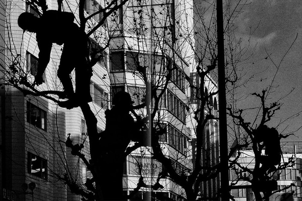 Daido Moriyama – Record 2